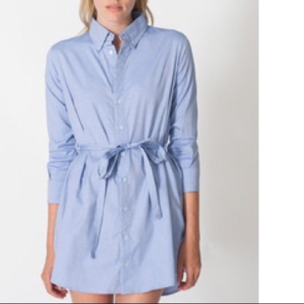 American Apparel Oxford Dress